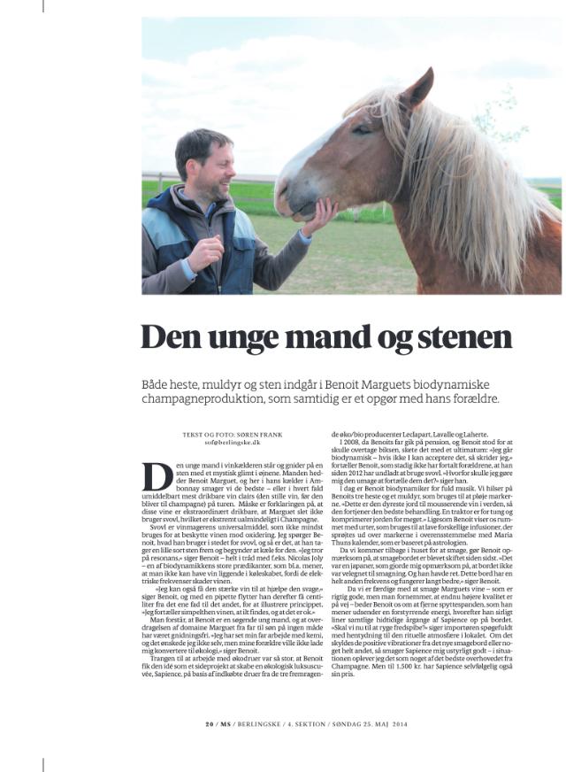 Den unge mand og stenen